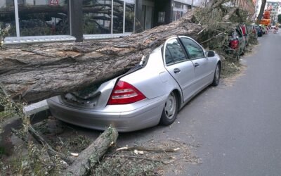 Wieso der Gutachter von der Versicherung selten dein Freund ist